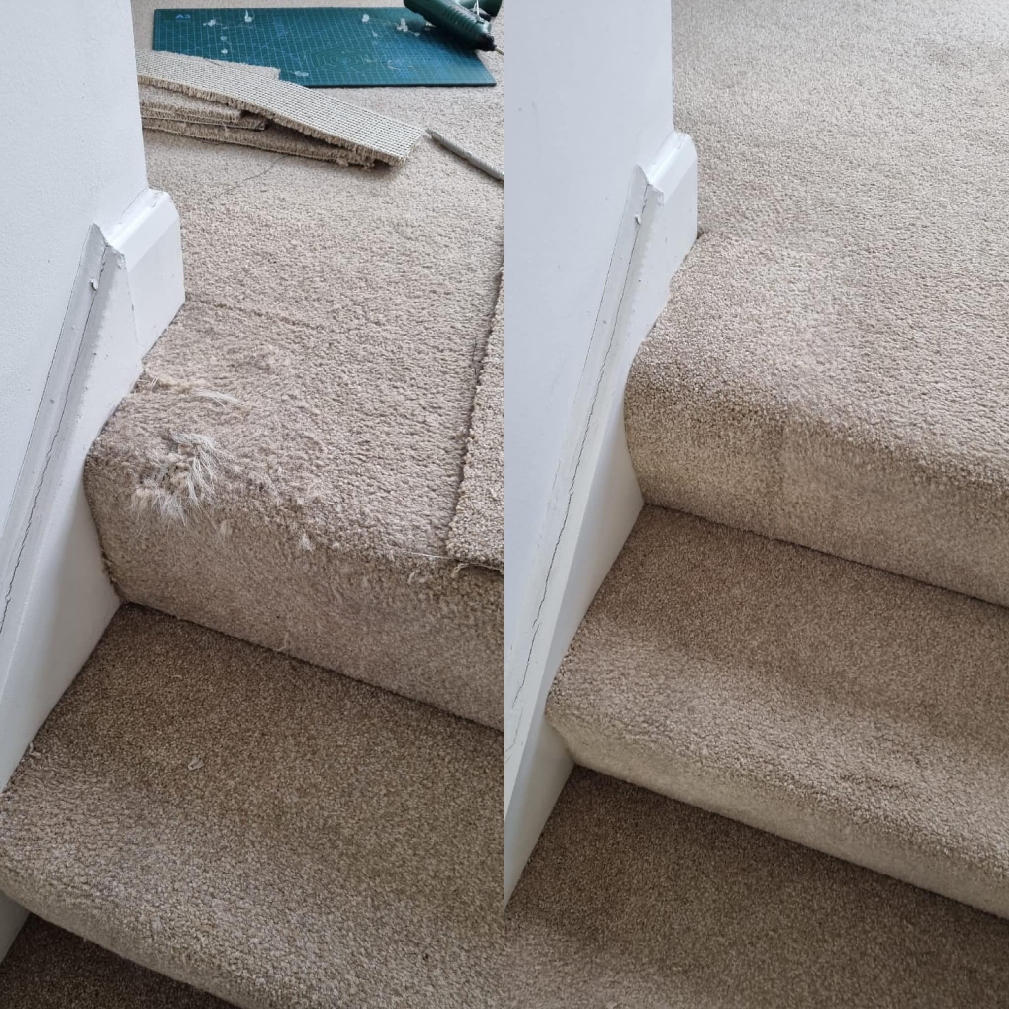 Hands-on carpet repair training in progress